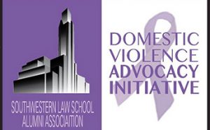 Domestic violence advocacy initiative